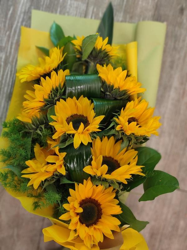 dettaglio girasoli